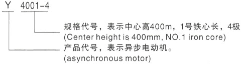 西安泰富西玛Y系列(H355-1000)高压YE2-160M1-8三相异步电机型号说明