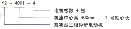 YR系列(H355-1000)高压YE2-160M1-8三相异步电机西安西玛电机型号说明